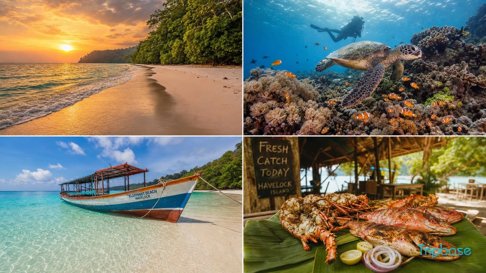 Andaman Islands Guide