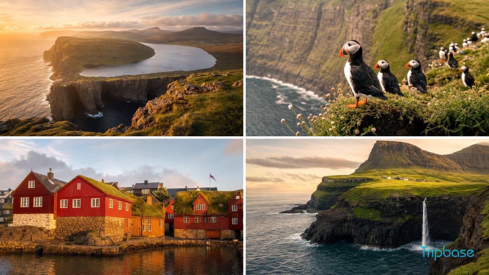 Faroe Islands Guide