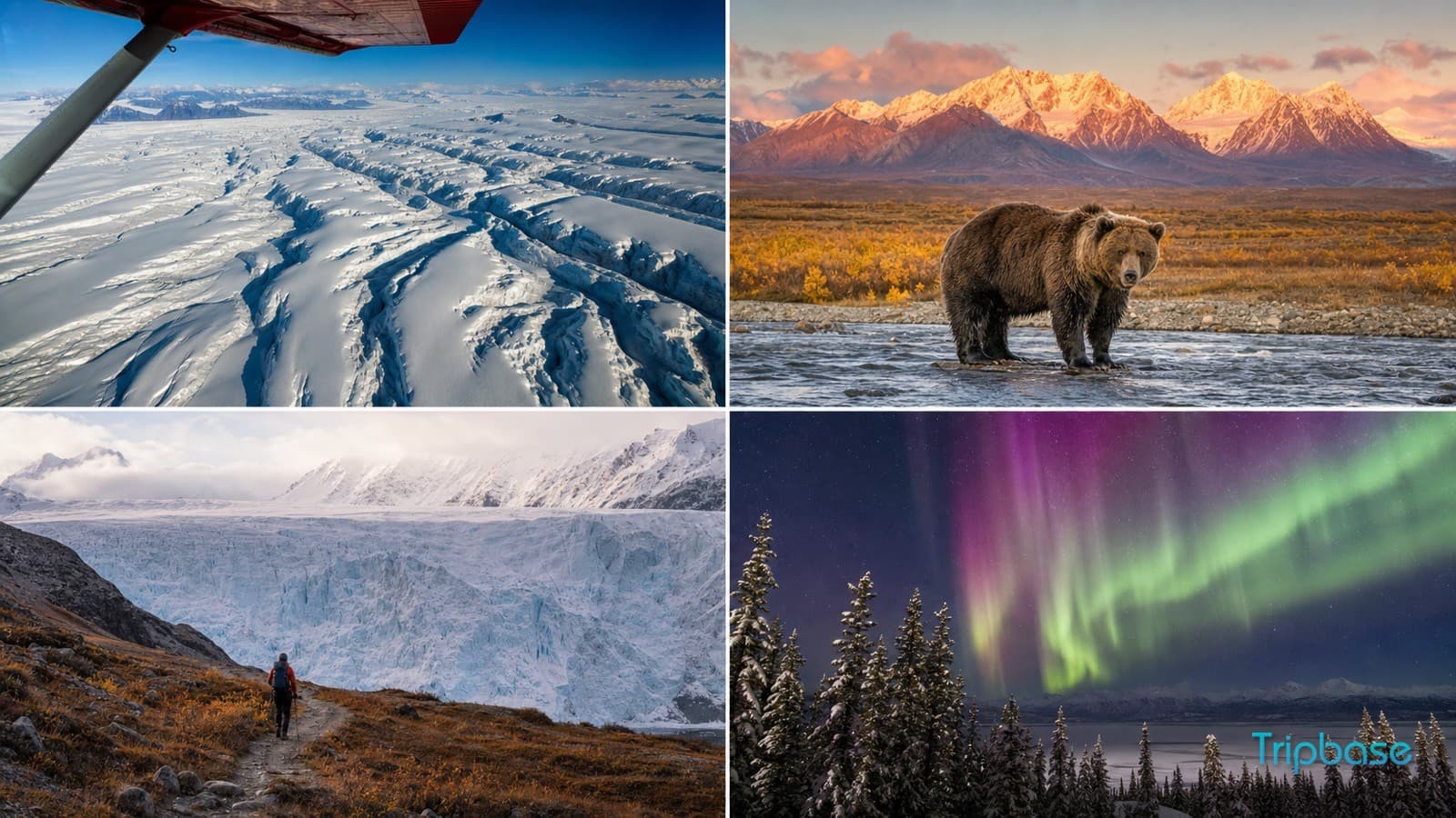 Kluane National Park
