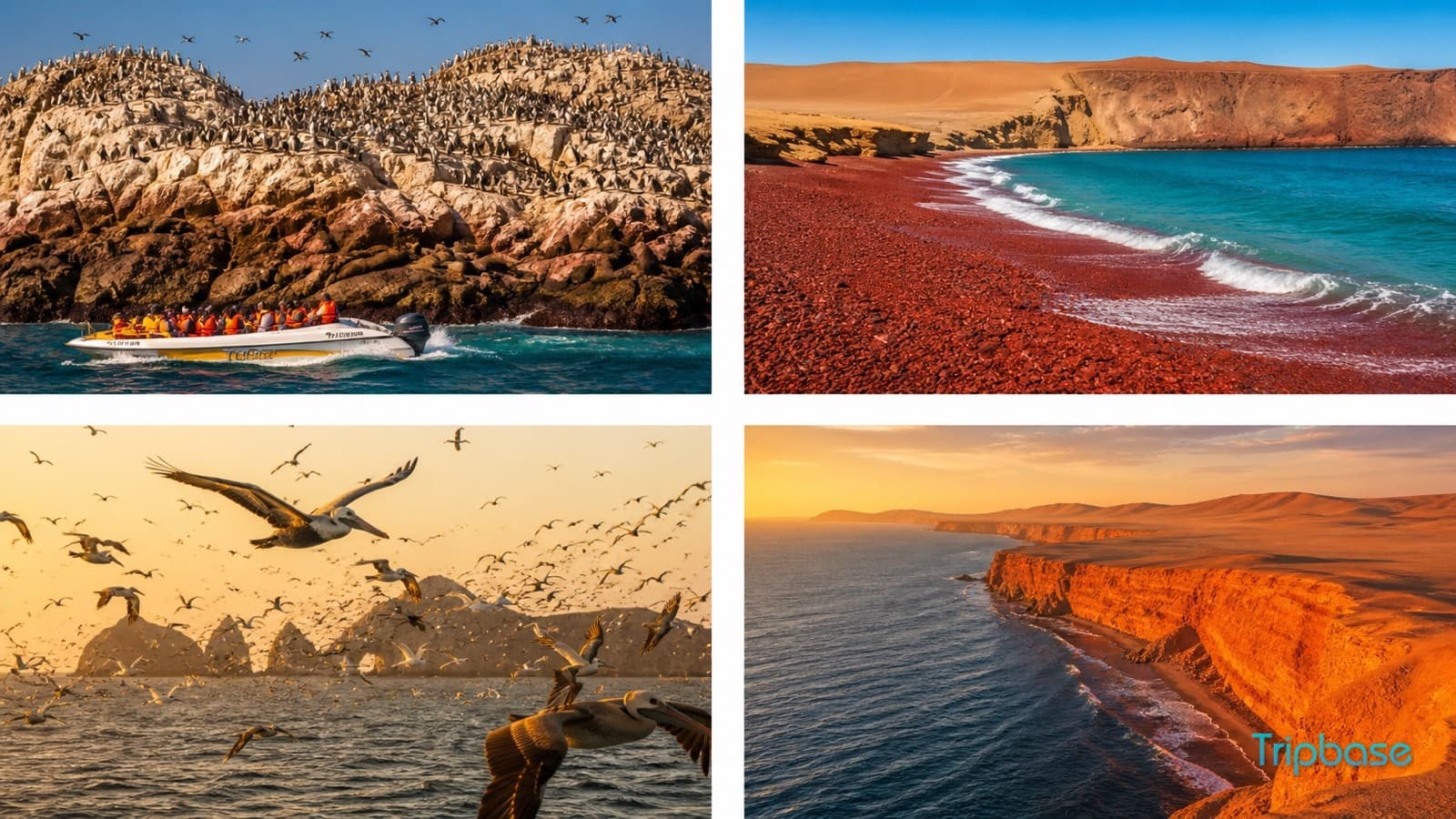 Paracas / Ica