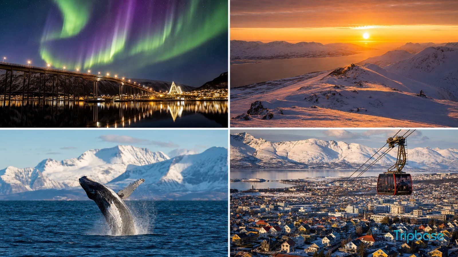 Tromso Guide