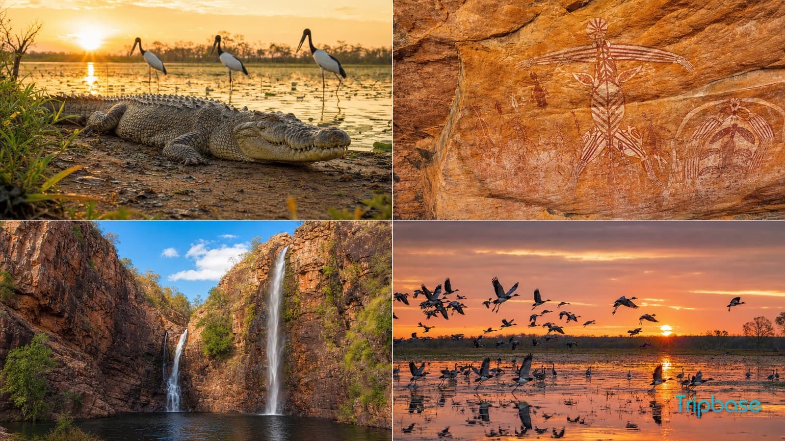 Kakadu & the Top End