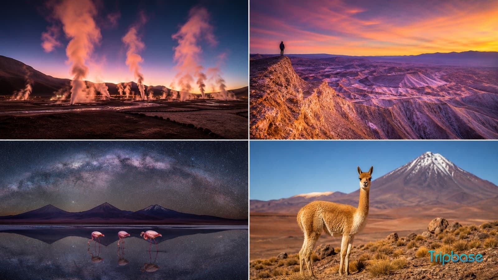 San Pedro de Atacama