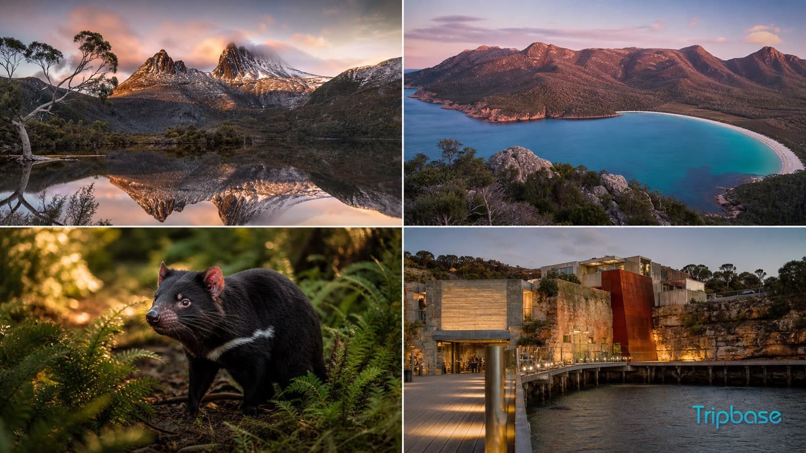 Tasmania