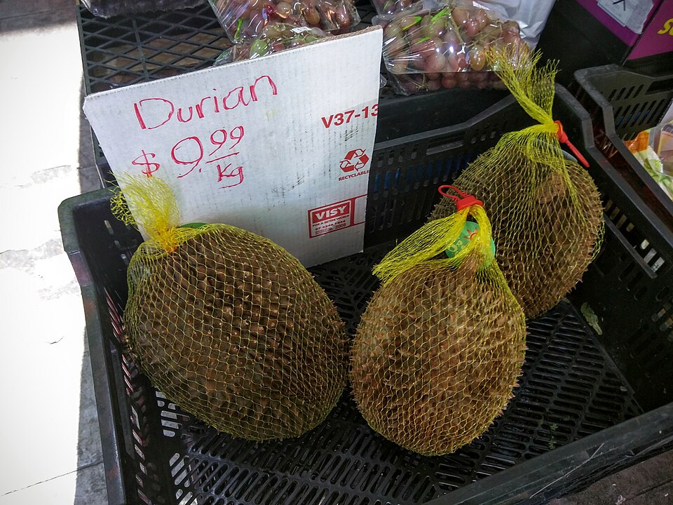 Durian fruit for sale at a Sydney store, the distinctive spiky exterior giving no visual indication of the olfactory experience that awaits inside