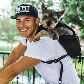 A small animal in a transport carrier, representing either a smooth check-in experience or an impending gate conversation, depending on the airline's current breed policy