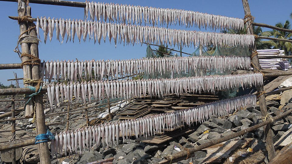 Dried Bombay duck fish bummalo on display at a market