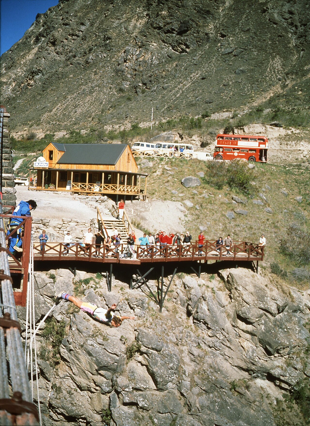 A bungy jumper leaping from the historic Kawarau Gorge Suspension Bridge near Queenstown, New Zealand