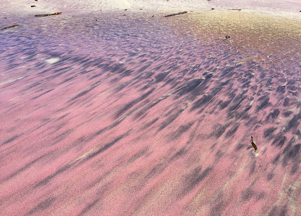 Streaks of purple manganese garnet sand mixed with tan sand at Pfeiffer Beach in Big Sur, California