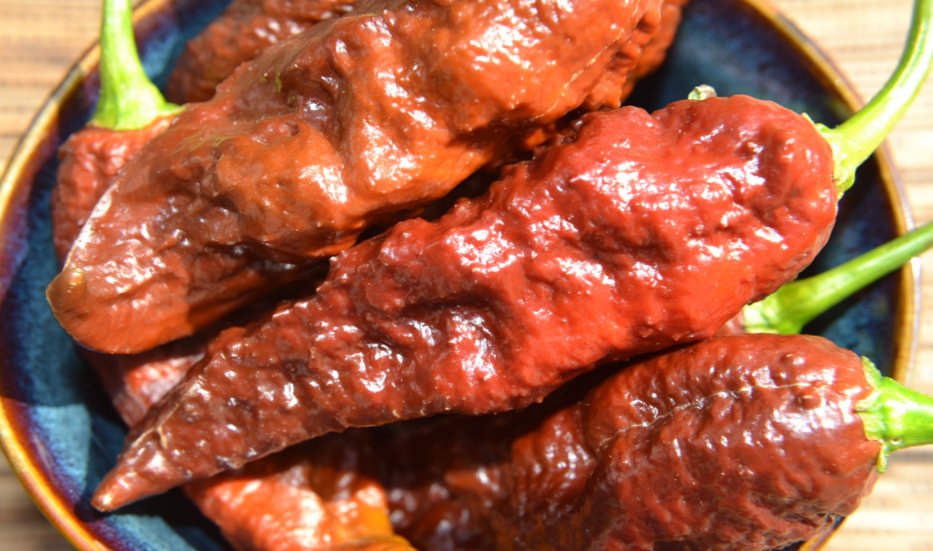 A Bhut Jolokia, or ghost pepper, the first chili officially measured above one million Scoville Heat Units