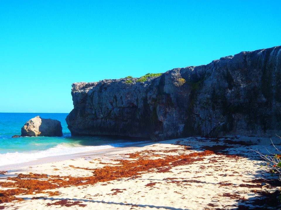A white sand beach on the Caribbean island of Barbados with turquoise sea and palm trees