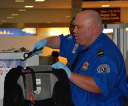 TSA officer screening a passenger's bag