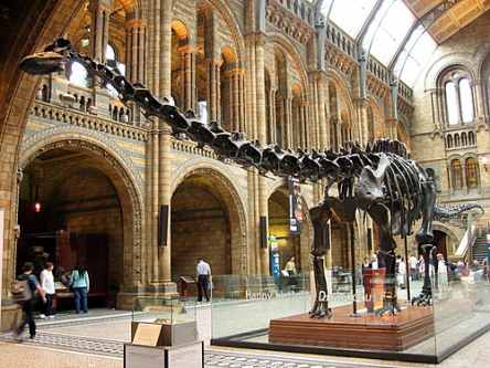 Post image for 10 Evolution Exhibits that will Blow Your Mind