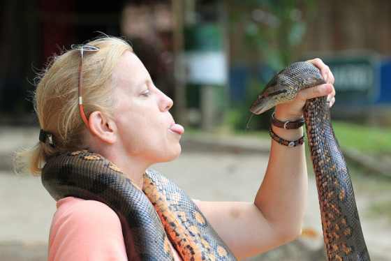 Post image for How I Overcame My Fear of Snakes (and Became a Braver Person)