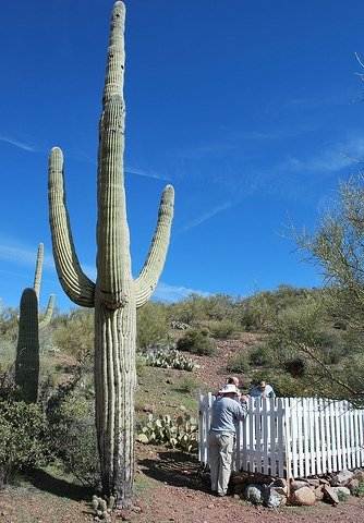 Wickenburg Arizona