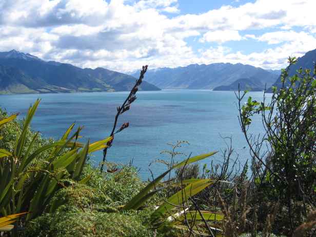 Lake Wanaka-1