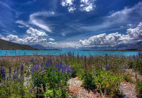 Lake Tekapo New ZealandBIG (480 x 331) Lake Tekapo New ZealandBIG (480 x 331)