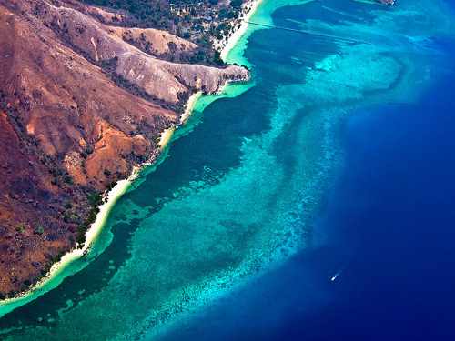 Post image for Why Scuba Diving Could Soon Become Extinct