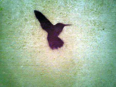 Bird (450 x 338) Bird (450 x 338)