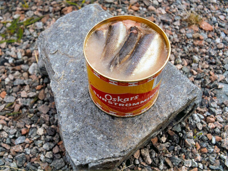 Surströmming fermented herring can Sweden