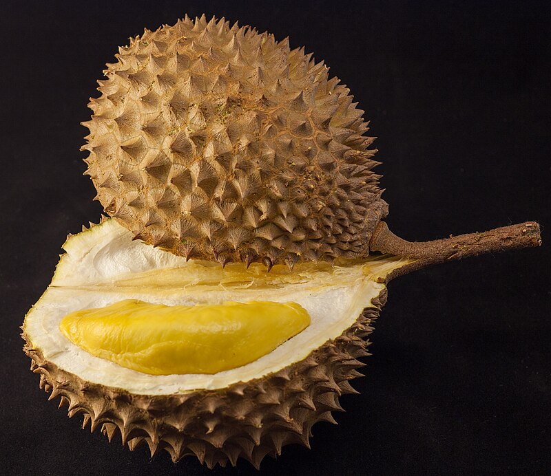 Durian spiky fruit