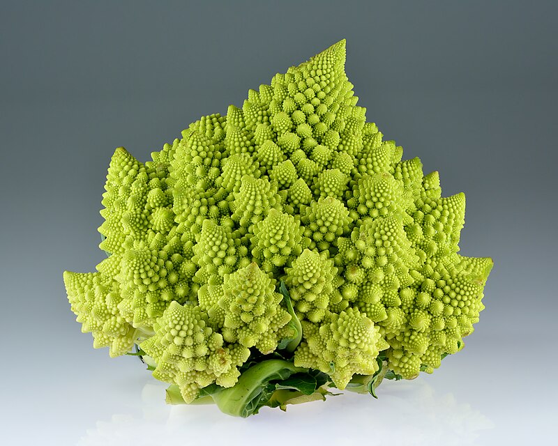 Romanesco broccoli with fractal spiral pattern