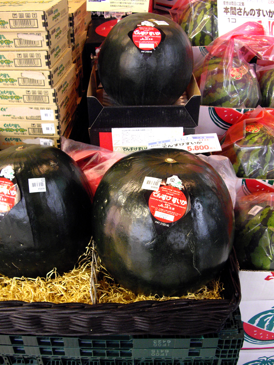 Densuke watermelon
