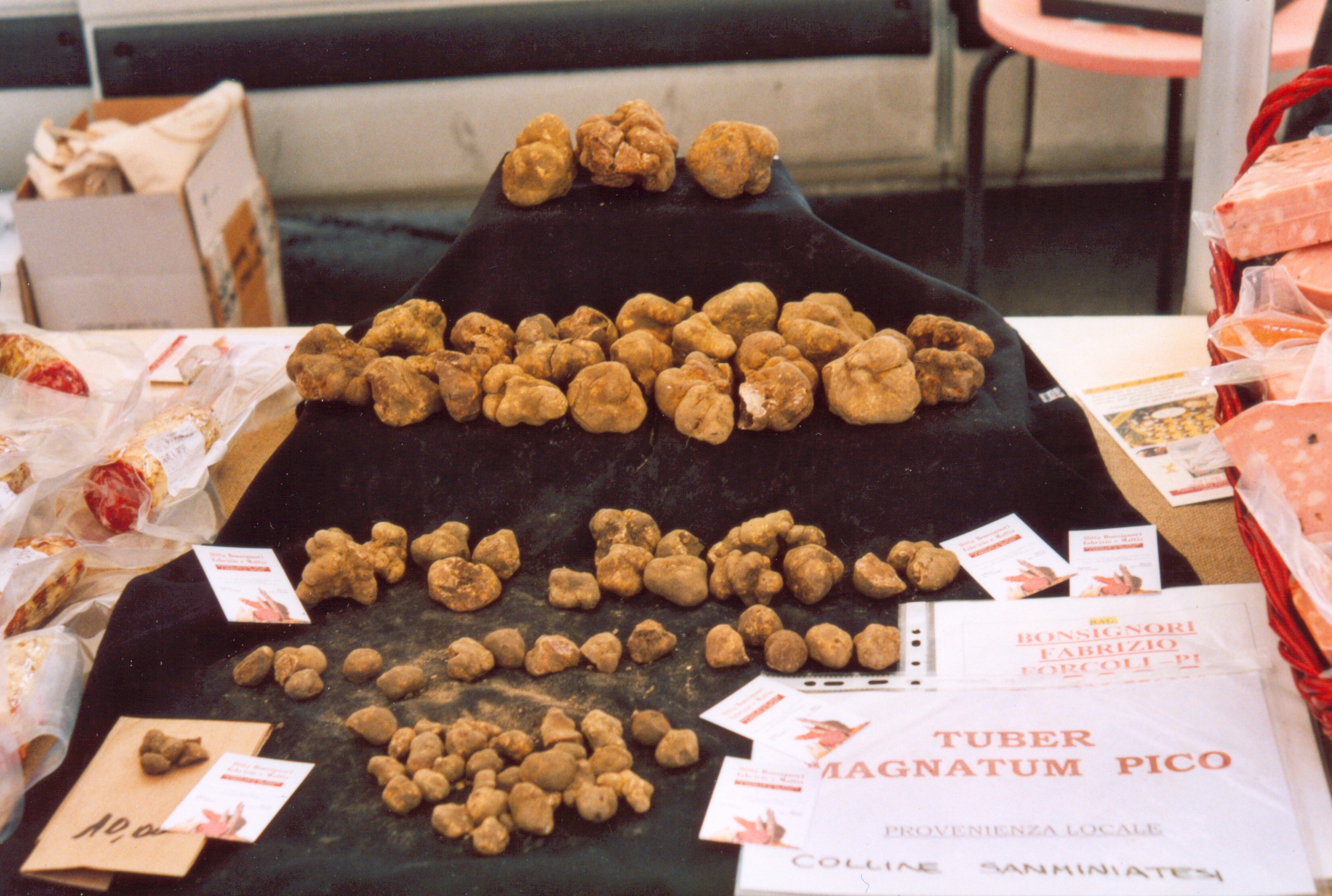 White truffle, Tuber Magnatum Pico