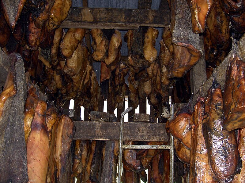 Hákarl fermented shark Iceland