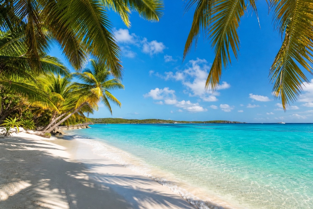 Caribbean